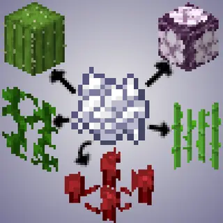 Complete Bone Meal