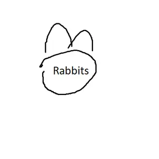 Extra Rabbits