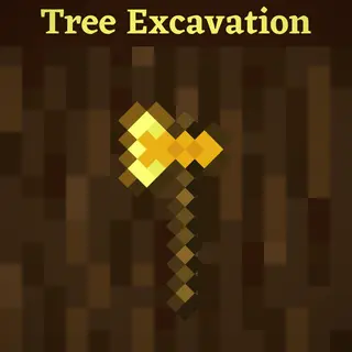 Tree Excavation