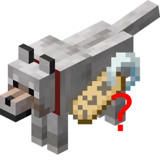 Whose pet is this?