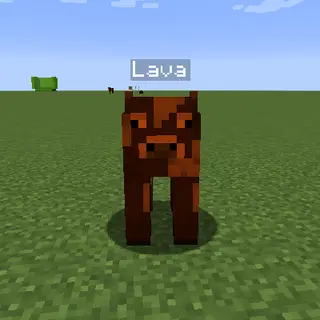Random Fluid Cows
