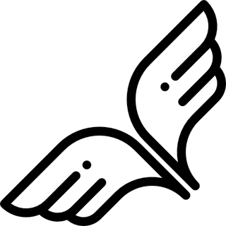 FlapElytra