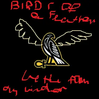Birds of the feather reborn