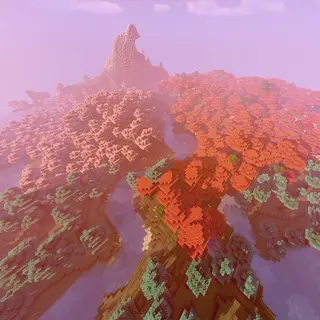Colorful Flora