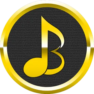 Barış's Music Player