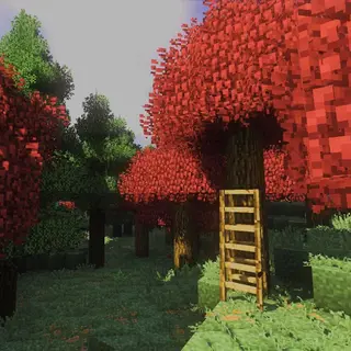 c00lkid Modpack