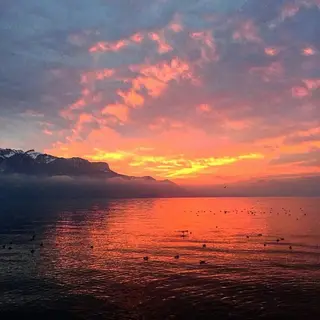 Infdev Sunset