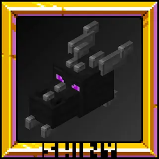 Shiny's Compatible Models