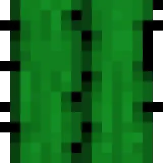 Cactus Stuff