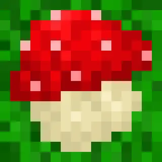 Leos Mushrooms