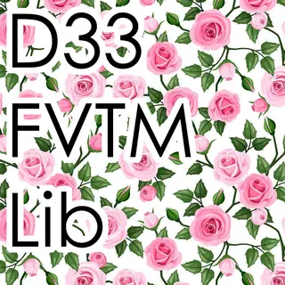 D33 FVTM Lib