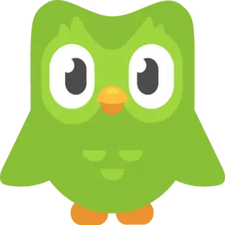 oops there's a homicidal duolingo bird
