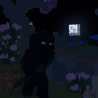 Ninja Craft [Forge]
