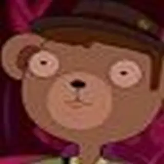 Bears bears bears!
