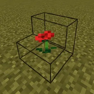 Custom Block Outlines (CBO)