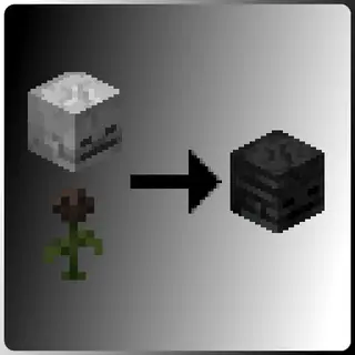Wither Turns Skeletons