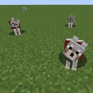 Table Scraps