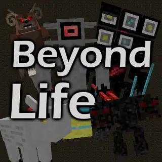 Beyond Life