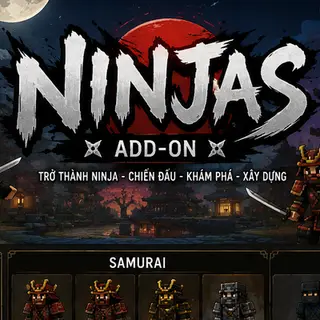 Ninjas Craft
