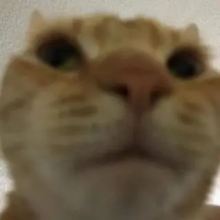 Cursed Commands Heavy Modpack