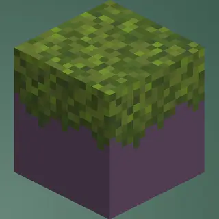 Moss Carpet Sides