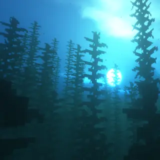 Oceanymus