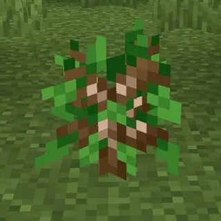 Iron Oak