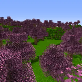 Cherry Blossom Forest