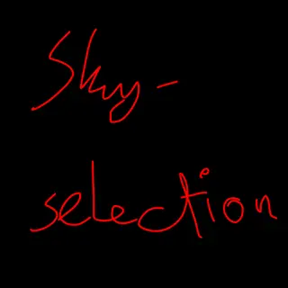 Sky Selection