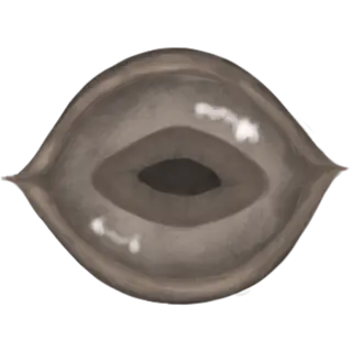 The SCP SMP project