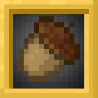Seeds For Trees