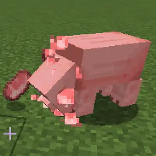 HungryPigs