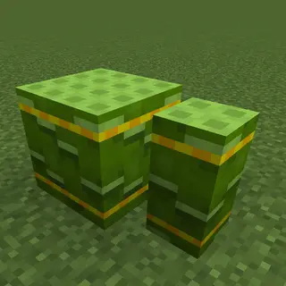 Bamboo Storage