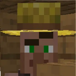 Villager raise eyebrow meme
