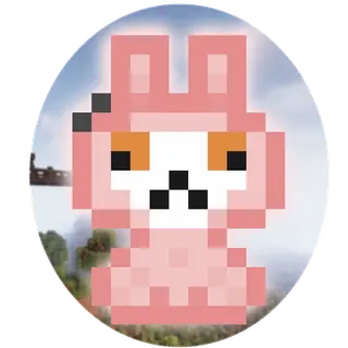 Alpacas!