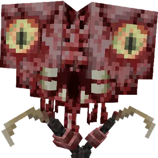 Nexus Infection