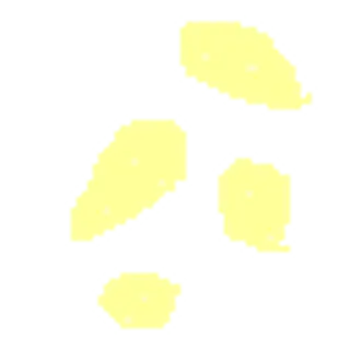 some food items