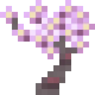 Cherry Blossom Grotto