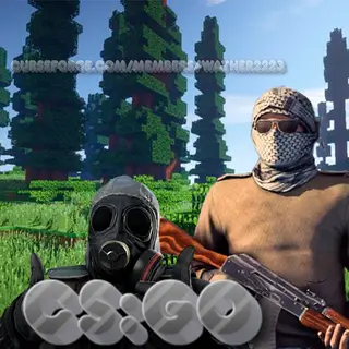 Counter-Strike Global Offensive Pack