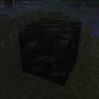 Modern Survival