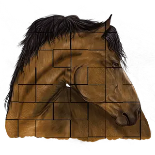 Equine Village