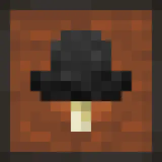 Survive with Mushrooms