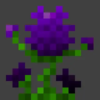Abandoned Botany