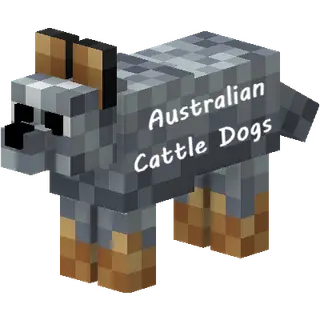Australian Cattle Dogs
