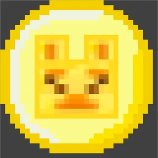 Server Coins