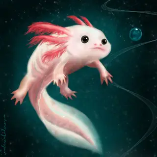 Axolotl Origin