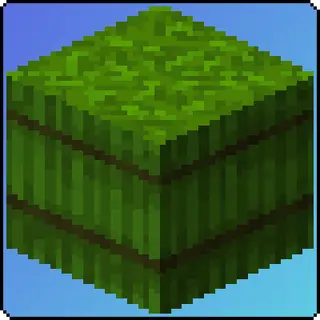 Bale of Sugar Cane