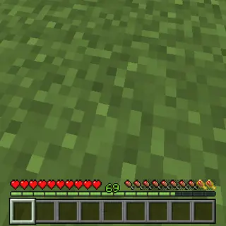 Bedrock XP Bar