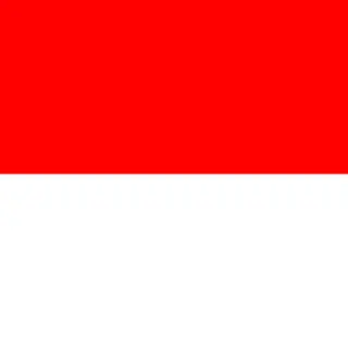 Indonesian Food And Items 