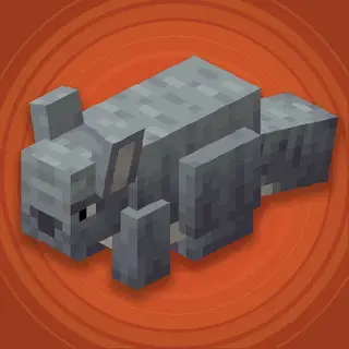 NoCube's Chinchillas